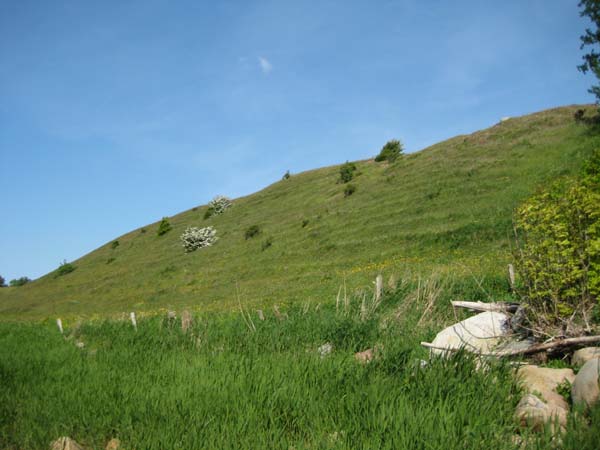 IMG_0293