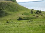 IMG_0330