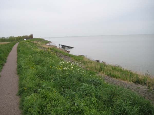 IMG_0131