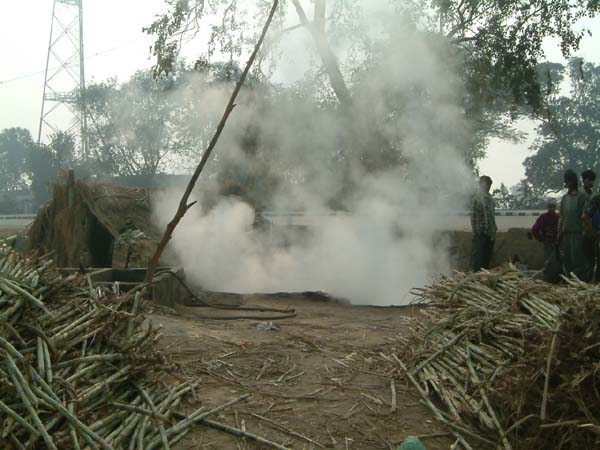 DSCF0060