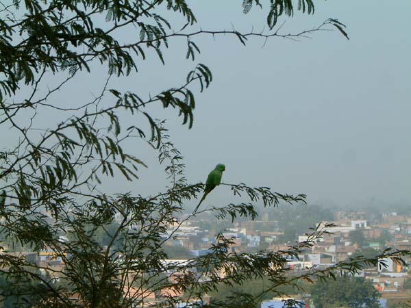 DSCF0164