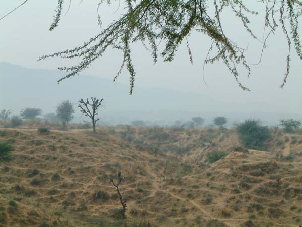 DSCF0199
