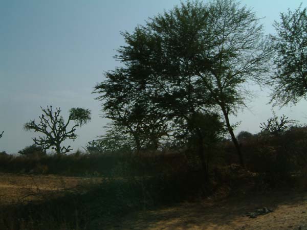 DSCF0213