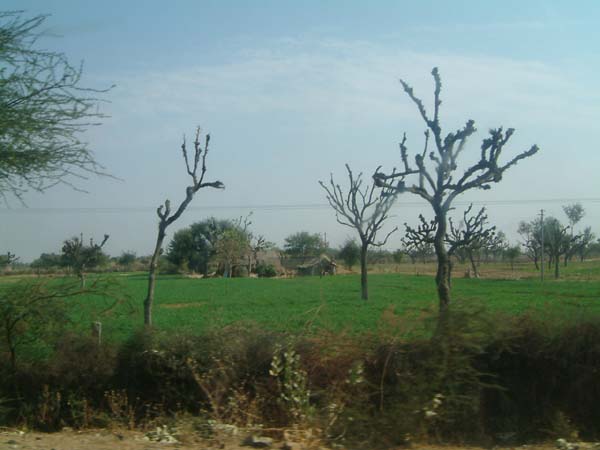 DSCF0214