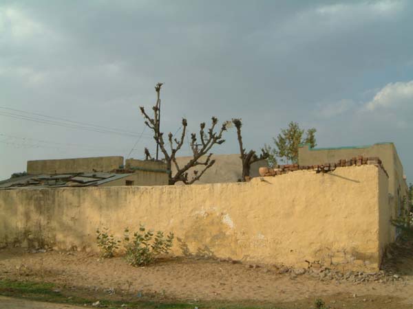 DSCF0231