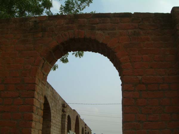 DSCF0236