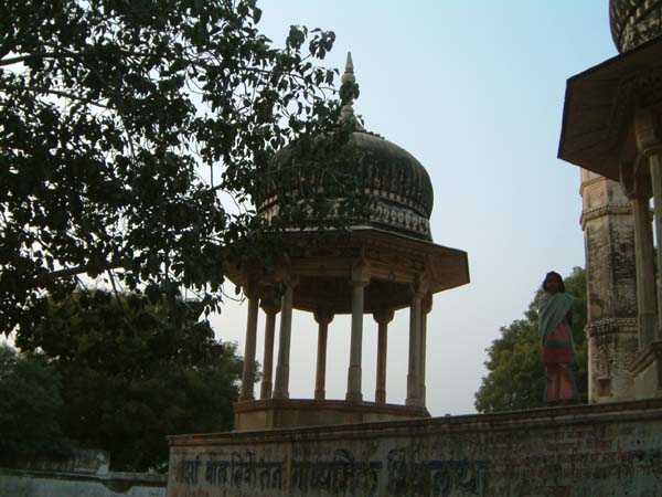 DSCF0241