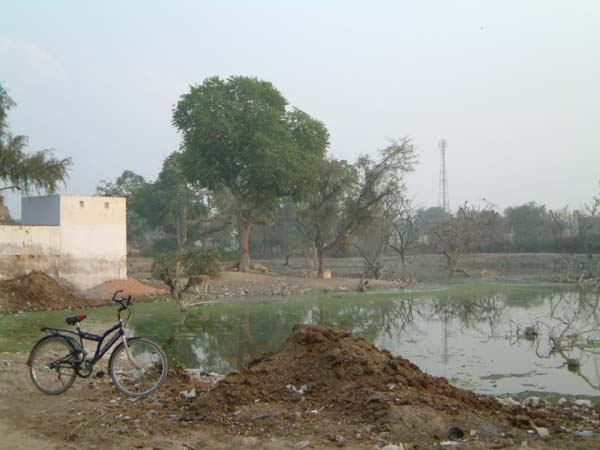 DSCF0243
