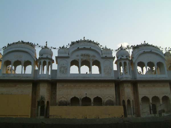 DSCF0245