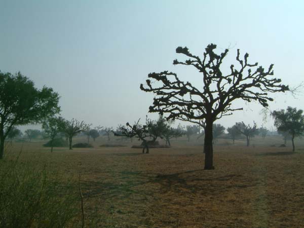 DSCF0275