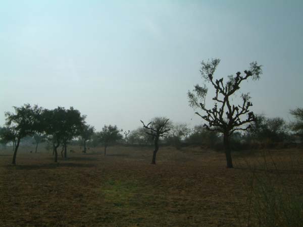 DSCF0277