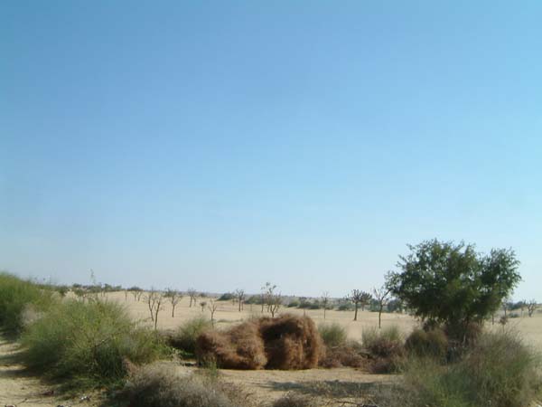 DSCF0347