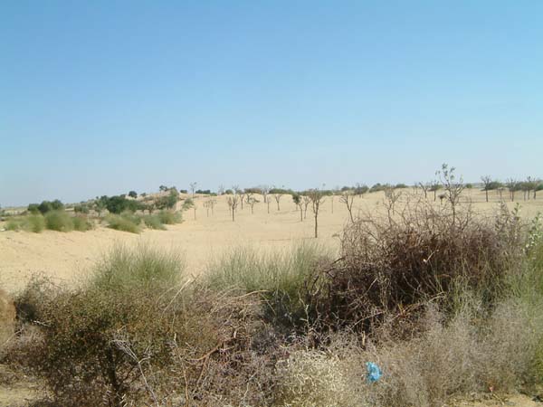 DSCF0349