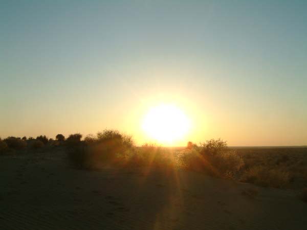 DSCF0388