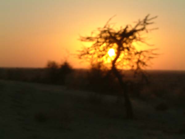 DSCF0390