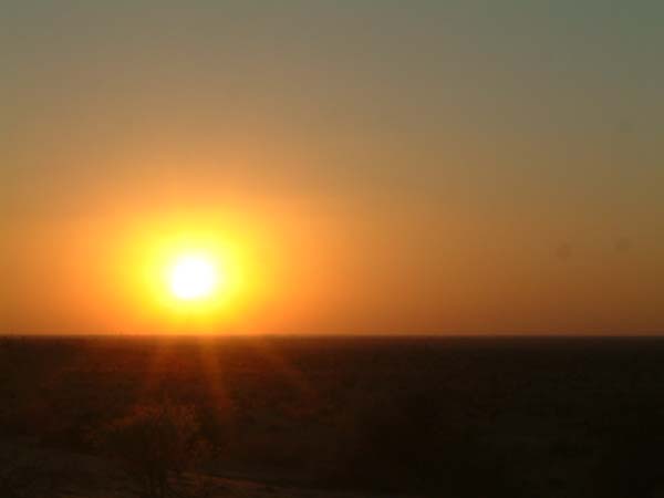 DSCF0391