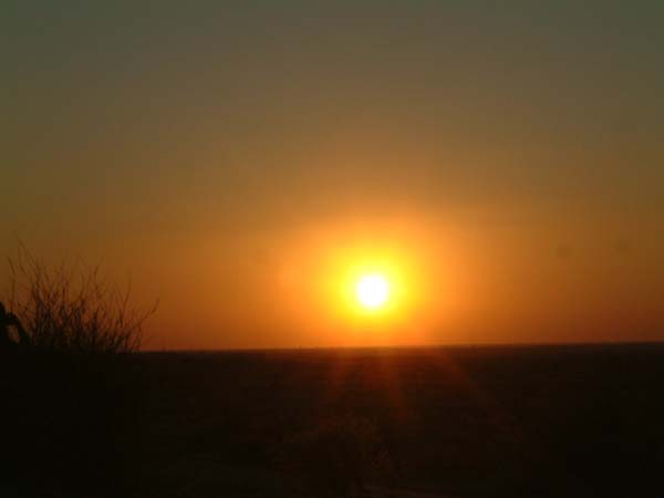 DSCF0392