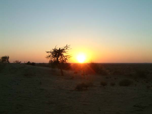 DSCF0398