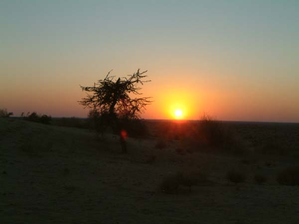 DSCF0403