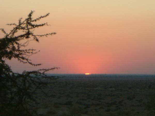 DSCF0407