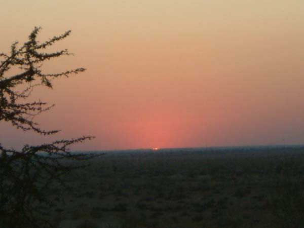 DSCF0409