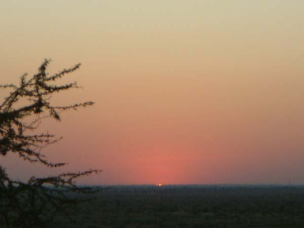 DSCF0410