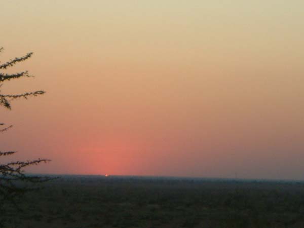 DSCF0411