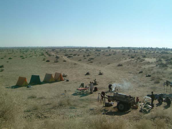 ESCF0006