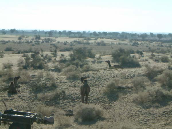 ESCF0009