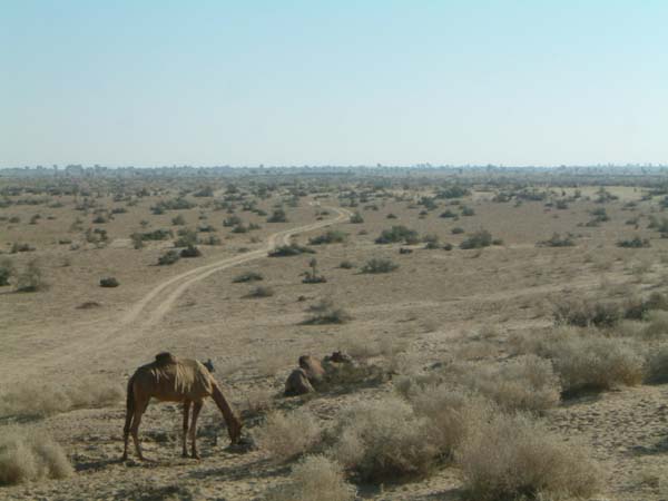 ESCF0017