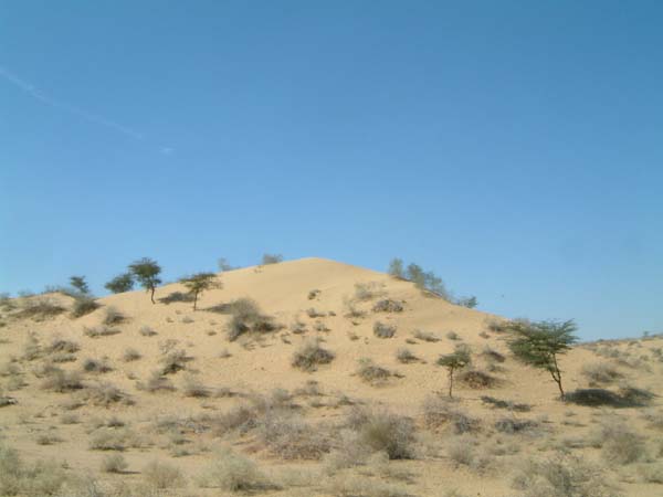 ESCF0026
