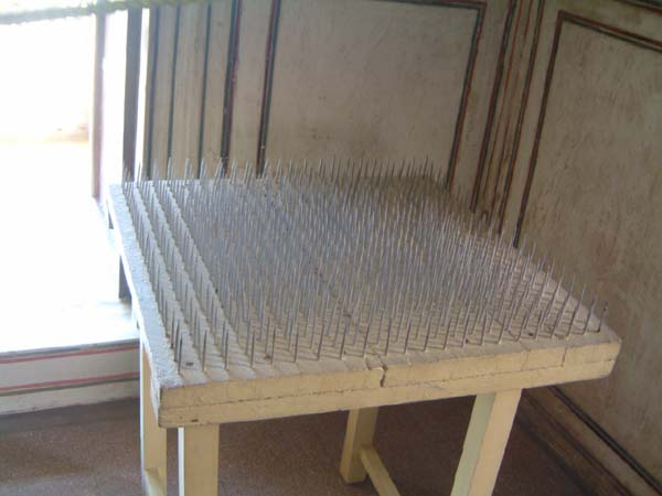 ESCF0060