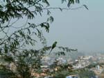 DSCF0164