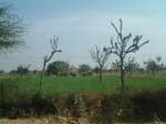 DSCF0214