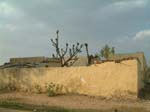 DSCF0231