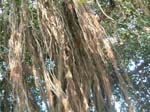 DSCF0274