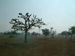 DSCF0276