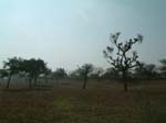 DSCF0277