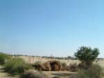 DSCF0347