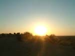 DSCF0388