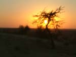DSCF0390