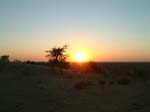 DSCF0398