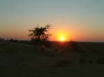 DSCF0403